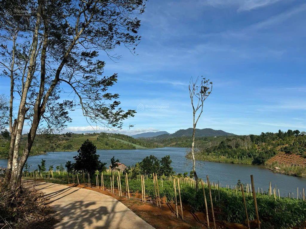 Cơ hội sở hữu 2.6ha đất giáp hồ đã quy hoạch khu nghỉ dưỡng vị trí thôn 3, xã nâm njang