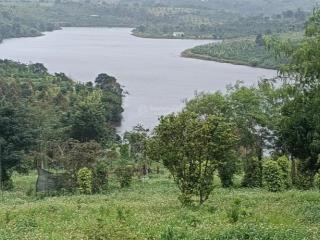 Bán 2.5ha đất đẹp view hồ 260m mặt đường bê tông có nhà cấp 4 gần ql14
