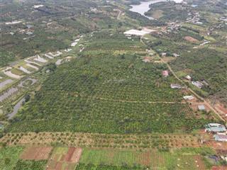 Bán đất 2.6ha đắk rmoan vườn cà phê + hơn 100 cây sầu riêng thu chính