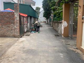 Bán đất thổ cư tại tiên kha tiên dương đông anh hà nội diện tích 69.3m