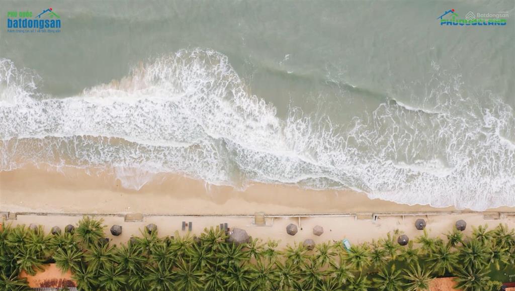 Chuyển nhượng dự án phú quốc  quỹ đất hiếm, pháp lý sạch  cơ hội đầu tư sinh lời 2025