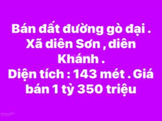 Bán đất đường gò đại xã diên sơn huyện diên khánh giá rẻ