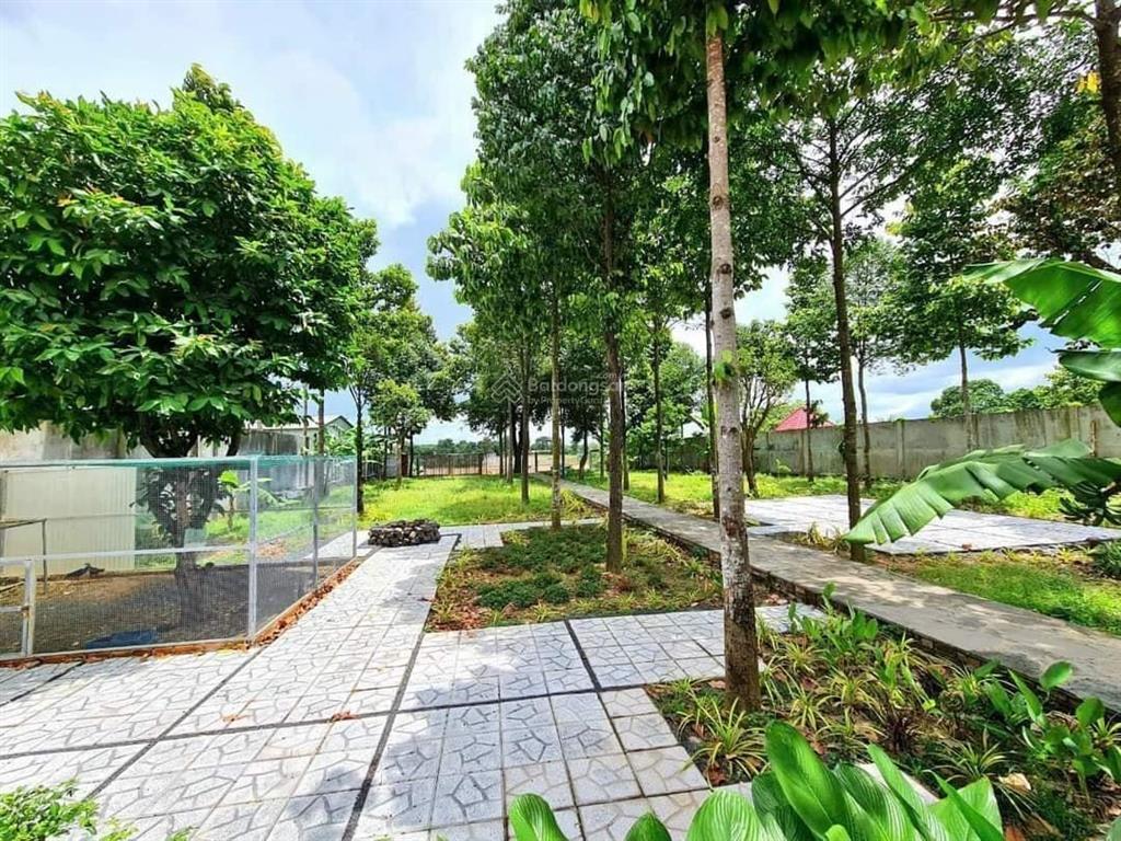 Đất biệt thự view sông đồng nai giá cực tốt làm nghỉ dưỡng