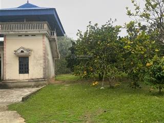 Bán đất tại quốc lộ 21a, phú thành, lạc thủy, hòa bình, giá thỏa thuận, 15000 m2