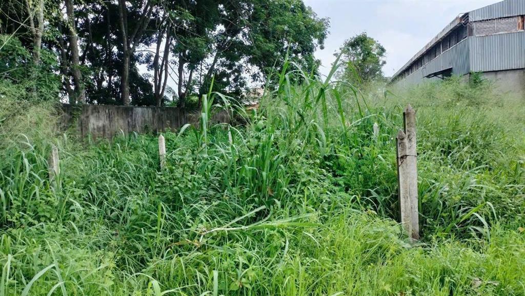 Chính chủ bán nhanh lô đất thổ cư 100m, giá 700 triệu, oto vào tận nơi, shr.