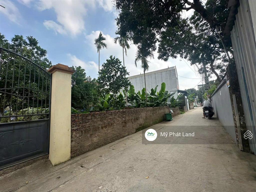 Bán lô đất phụng châu, dt 52m2, mặt ngõ 3.2m, đường thông, 100m ra trục chính, giá chỉ 3.75 tỷ