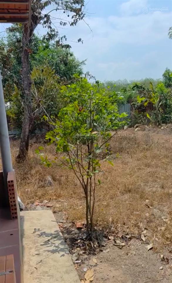 Bán đất tại dh507, tân hiệp, phú giáo, bình dương, 2511 m2 bao đẹp