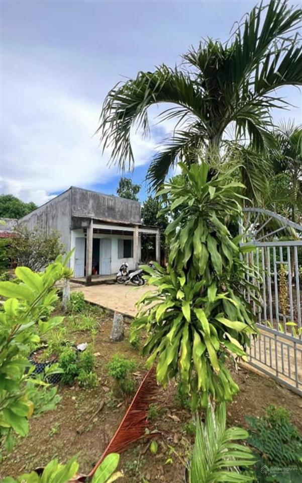 Chuyển công tác cần bán gấp lô đất 544m2 giá 450 triệu bao ra sổ
