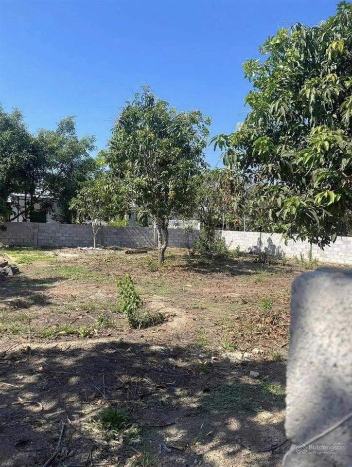 Bán đất đẹp tại quốc lộ 13, xã minh hưng, chơn thành, bình phước, 350 triệu, 1236 m2