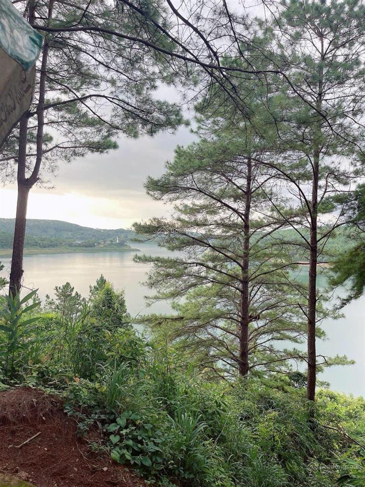 Chủ cần tiền giảm kịch 1 tỷ nhà đất full thổ cư 2 mặt tiền tôn đức thắng và biển hồ pleiku gia lai.