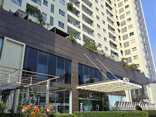 Căn hộ penthouse cuối cùng giao ngay  view landmark 81  195m2  gần cv gia định  sỡ hữu trọn đời