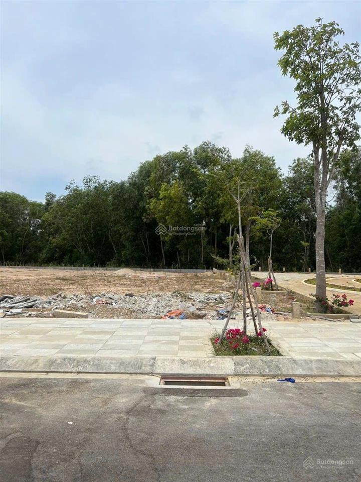 Thanh lý gấp lô đất 195m2 ngang 8m duy nhất ngay chợ lộc an, phước hội, brvt
