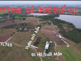 Vườn mít đẹp siêu ngon 400m2 thổ cư sẵn cho xd thoải mái