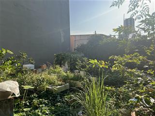 Đất thổ cư ngang đẹp 5m khu phân lô hẻm 7m sát mt hà huy giáp an phú đông quận 12 chỉ 3,4 tỷ