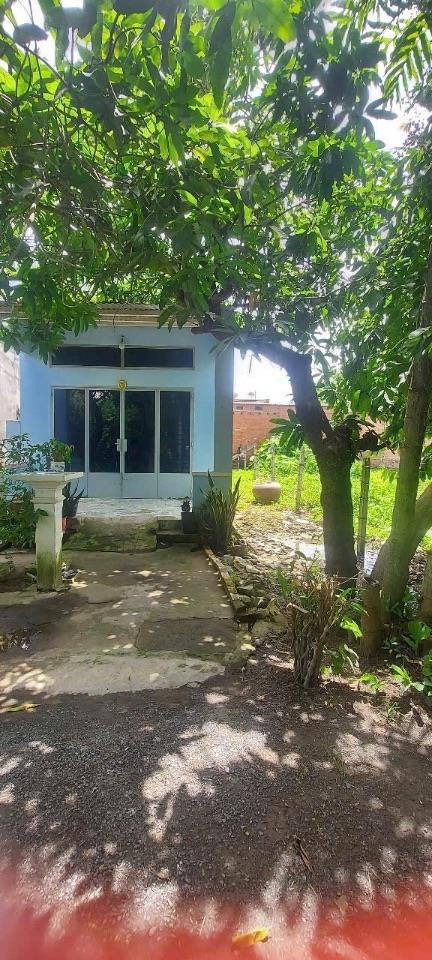 Cần Bán Nhà 3mặt tiền đường Phường Biên Hoà ( Phường Bửu Hoà Cũ)