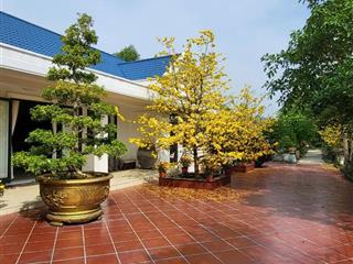 Bán đất biệt thự vườn, có cây ăn trái, hồ nuôi cá mát mẻ. diện tích lớn, giá chỉ hơn 9tr/m2