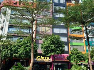 Chính chủ bán nhà 6 tầng thang máy, mặt phố trần thái tông, duy tân, thành thái, quận cầu giấy