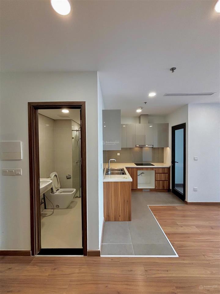 Em đang cần bán ch 1pn1wc chung cư eco green view cực đẹp giá 4.650 tỷ  e phi