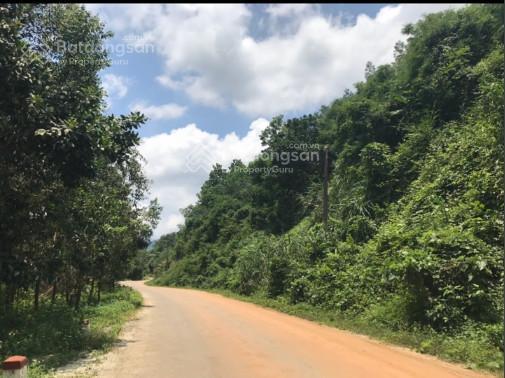 Chính chủ bán đất mặt tiền có sẵn 300m2 thổ cư tại tánh linh đầu tư nghỉ dưỡng làm du lịch tốt