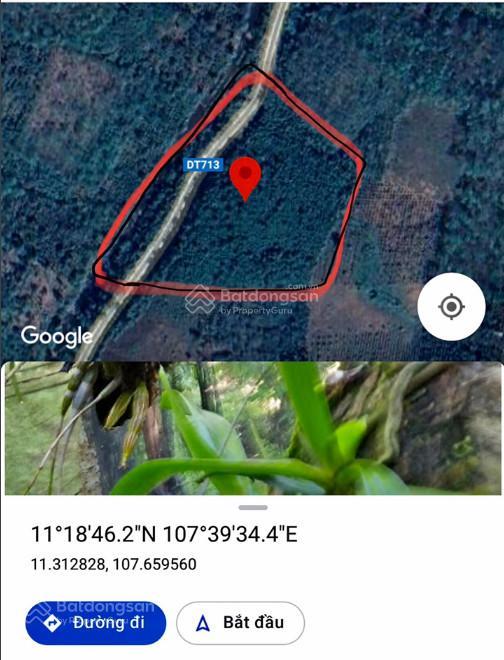 Chính chủ bán đất mặt tiền có sẵn 300m2 thổ cư tại tánh linh đầu tư nghỉ dưỡng làm du lịch tốt