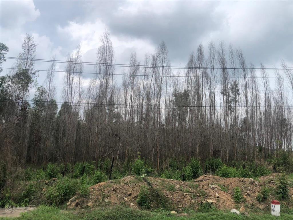 Chính chủ bán đất mặt tiền đường ql 55 khu vực hàm thuận nam, tỉnh bình thuận