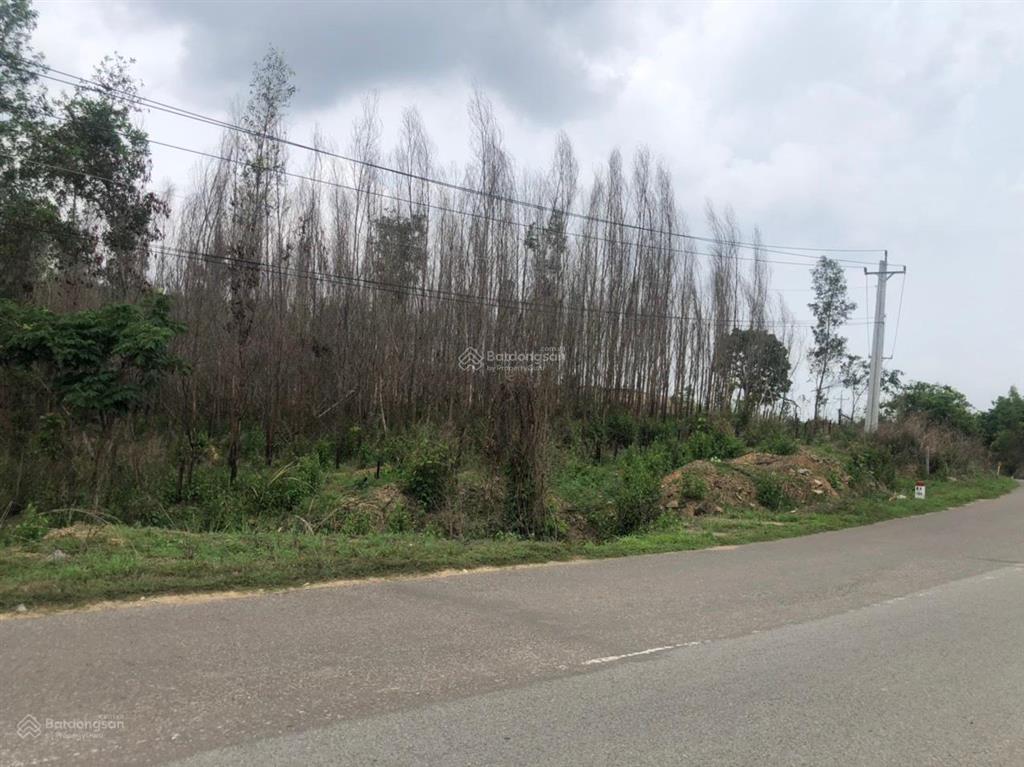 Chính chủ bán đất mặt tiền đường ql 55 khu vực hàm thuận nam, tỉnh bình thuận