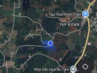 Bán đất tại lộc quang, lộc ninh, bình phước, 1,4 tỷ, 506 m2