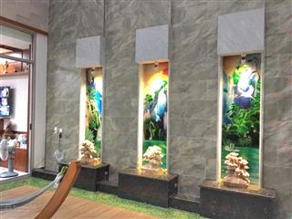 Biệt thự siêu vip ngay trung tâm d2d biên hòa. thiết kế và trang trí nội thất nhập khẩu châu âu