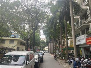 Bán gấp nhà phân lô nguyễn thị định 50m , 5 tầng, 20tỷ