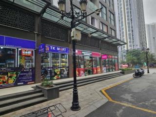 Cho thuê toàn bộ quỹ căn shophouse tmdv, shop chân đế vinhomes smart city tây mỗ