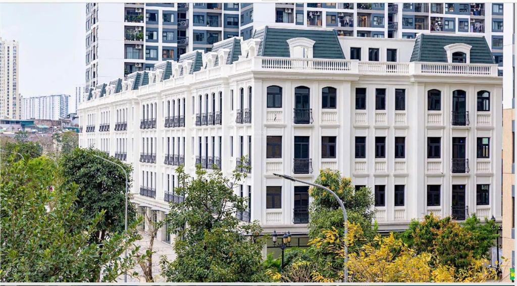Bán shophouse tmdv sboutique mặt đường trục chính vinhomes tây mỗ (smart city)