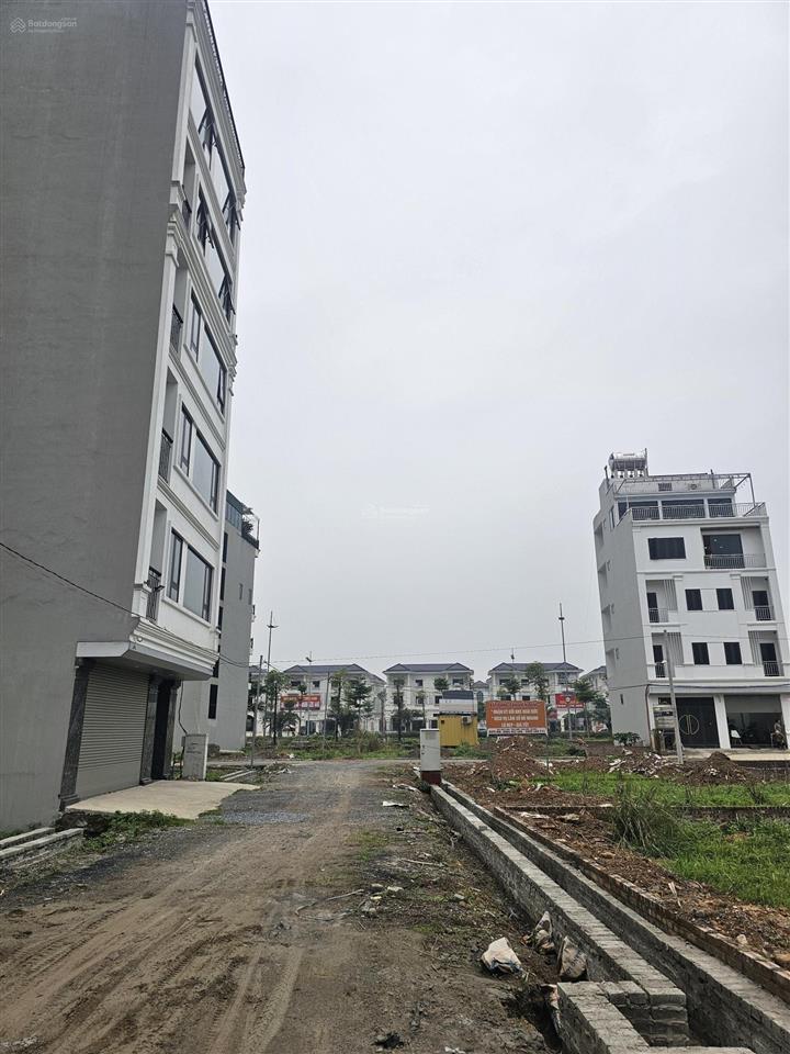 Bán đất dịch vụ tl9 vị trí đắc địa, đầu tư sinh lời! diện tích 62m2, mặt tiền 4.72m