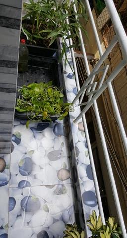 Nhà phố nhỏ giá rẻ chỉ 2 tỷ 500 cho vợ chồng trẻ