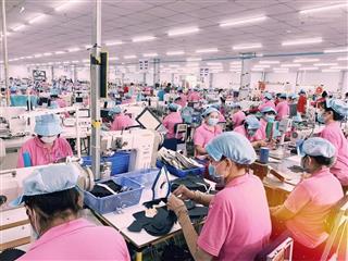 Cho thuê đất cụm công nghiệp vĩnh hòa hưng nam  gò quao  kiên giang