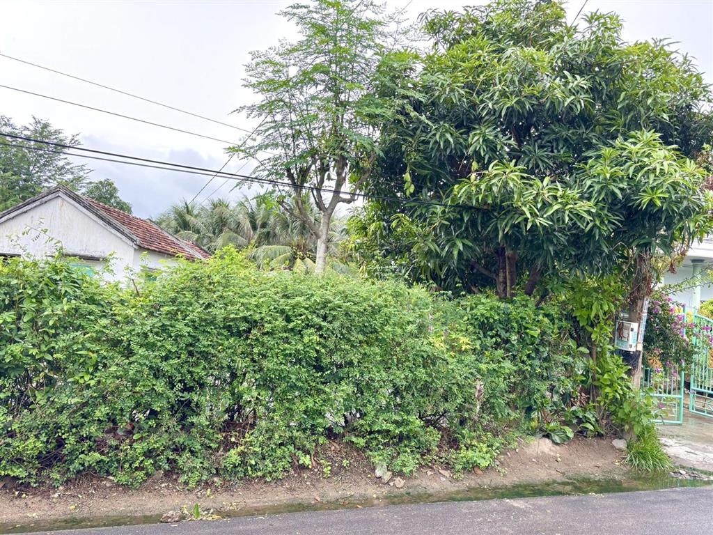 Đất thổ gần ngã tư tu bôngkkt vân phong,mặt tiền 7m đường nhựa hiện hữu, giá 1 tỉ 170 triệu