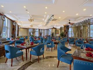 Cho thuê mặt bằng mặt phố nguyên hồng  500m²  mặt tiền siêu rộng 35m 0854 781 ***