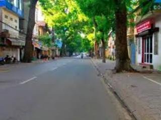Cho thuê mặt bằng phố nguyễn biểu ba đình, diện tích 163m², mt 12m nhận diện đỉnh 0854 781 ***