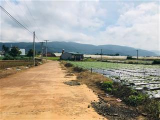 Bán đất tại thị trấn thạnh mỹ, đơn dương, lâm đồng, 640 triệu, 126 m2