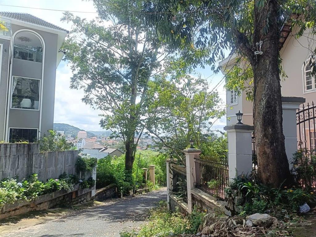 Bán biệt thự 356 m2 (full thổ cư) tại nguyễn trung trực, phường 3, đà lạt 28 tỷ vnd có tl