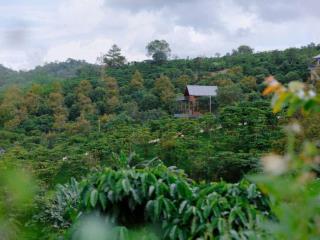 Aman Cloud - Chạm mây, sống an nhiên, sẵn sổ, kế cận tiện ích 3000m2, giá chỉ từ 2.150tr/m2