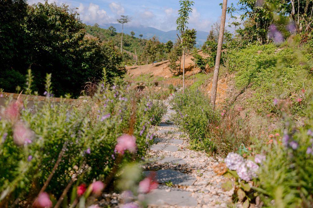AMAN BLAO - CỘNG ĐỒNG TRI THỨC SỐNG TỬ TẾ, KIẾN TRÚC GỖ, CHÚNG TÔI GÌN GIỮ MỘT LỐI SỐNG