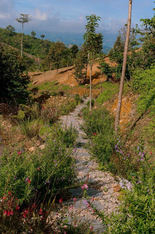 AMAN BLAO - CỘNG ĐỒNG TRI THỨC SỐNG TỬ TẾ, KIẾN TRÚC GỖ, CHÚNG TÔI GÌN GIỮ MỘT LỐI SỐNG