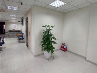 Cho thuê văn phòng, spa, dạy học 30m 5tr 50m 8tr 80m 12tr 100m 14tr 200m 40tr. phố nguyễn xiển