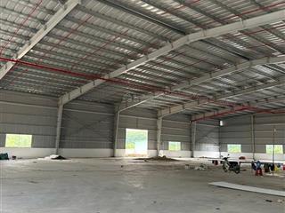 Kho cho thuê gấp tại tân định, bắc tân uyên, bình dương, 250 triệu, 4200 m2