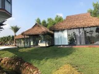 Cần bán 870m2 mặt tiền đường võ văn ngân, tt đức hoà, đức hoà, long an