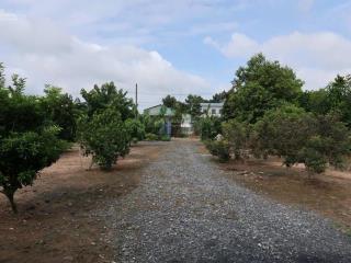 Đất lớn view 2 mặt tiền ,xã phước lý  giáp bình chánh. diện tích thực tế 30m x 45m  1.250m²