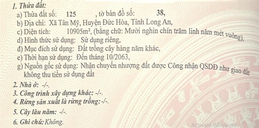 Nhanh tay sở hữu đất nền đẹp tại tân mỹ, đức hòa, long an với diện tích 10905 m2