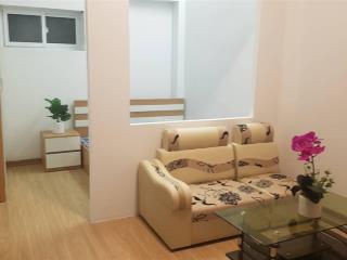 Chính chủ cho thuê chung cư mini phố nguyễn trường tộ đầy đủ nội thất chỉ 5.5 triệu/th