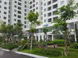 Cho thuê căn hộ chung cư ecolife tây hồ, hà nội