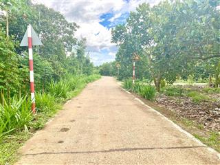 Bán vườn trái cây 5500m2, đường betong  0945 899 ***